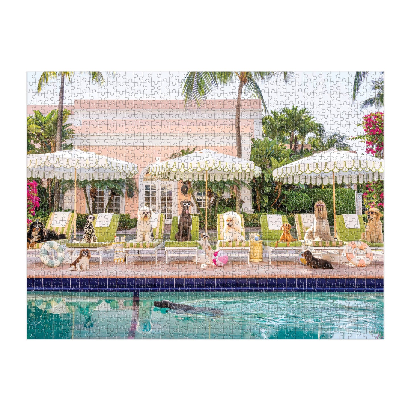 Gray Malin Palm Beach 1000 Piece Book Box Puzzle