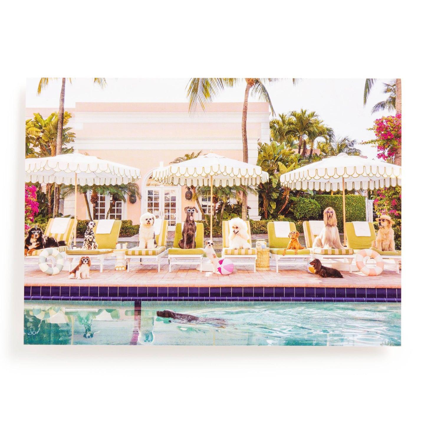 Gray Malin Palm Beach 1000 Piece Book Box Puzzle